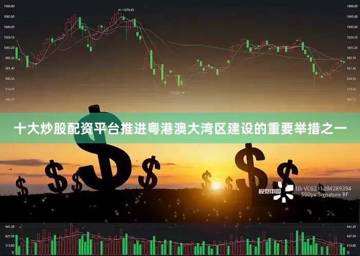 十大炒股配资平台推进粤港澳大湾区建设的重要举措之一