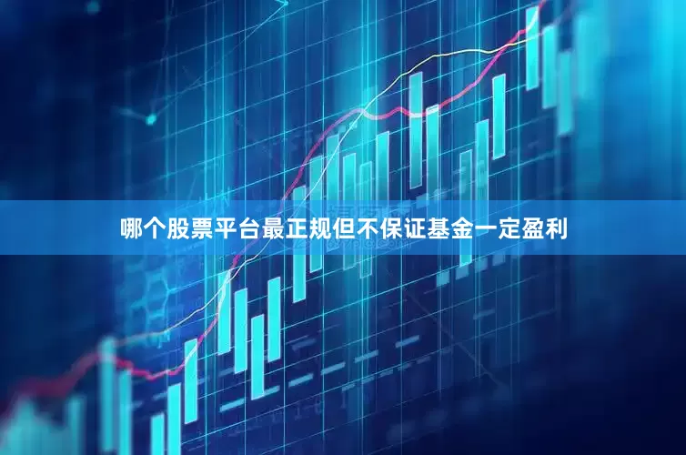 哪个股票平台最正规但不保证基金一定盈利