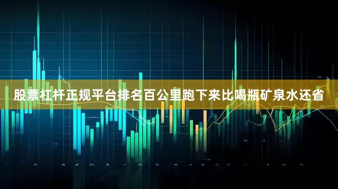 股票杠杆正规平台排名百公里跑下来比喝瓶矿泉水还省