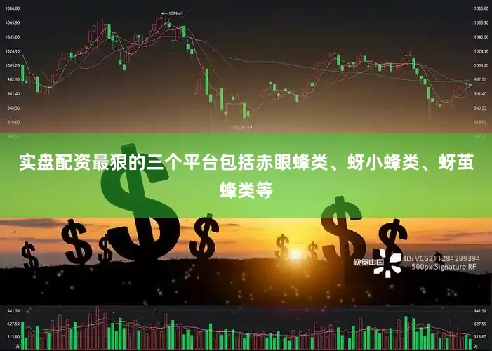 实盘配资最狠的三个平台包括赤眼蜂类、蚜小蜂类、蚜茧蜂类等