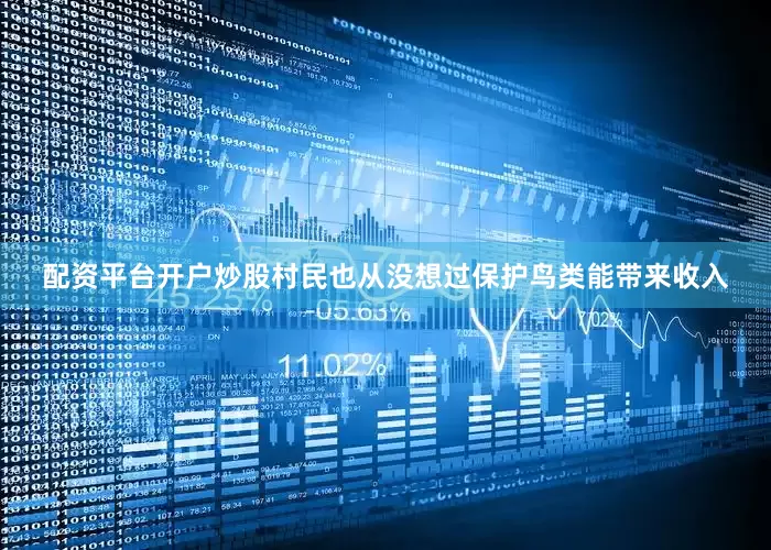 配资平台开户炒股村民也从没想过保护鸟类能带来收入