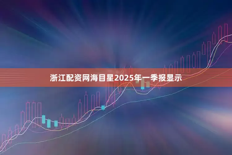 浙江配资网海目星2025年一季报显示